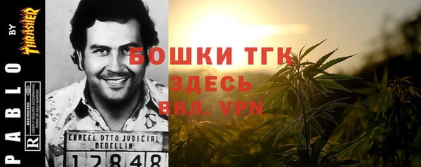 амф Пересвет