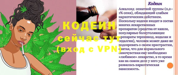 амф Пересвет