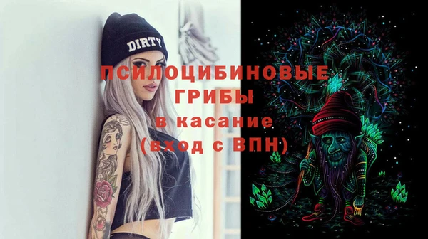 амф Пересвет