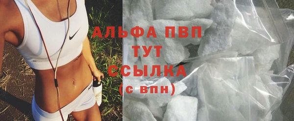 амф Пестово
