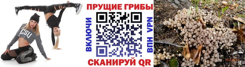 Псилоцибиновые грибы ЛСД  Купить  Астрахань 