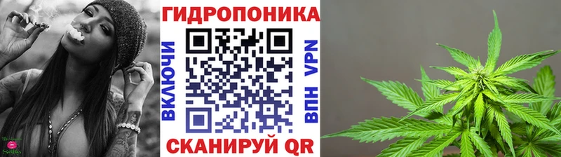 Бошки Шишки VHQ  Купить  Астрахань 